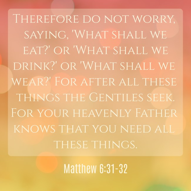 Therefore do not worry, saying, 'What shall we eat?' or 'What shall we drink?' or 'What shall we wear?' For after all these things the Gentiles seek. For your heavenly Father knows that you need all these things. - Matthew 6:31-32