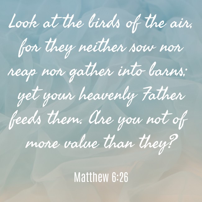 Look at the birds of the air, for they neither sow nor reap nor gather into barns; yet your heavenly Father feeds them. Are you not of more value than they? - Matthew 6:26
