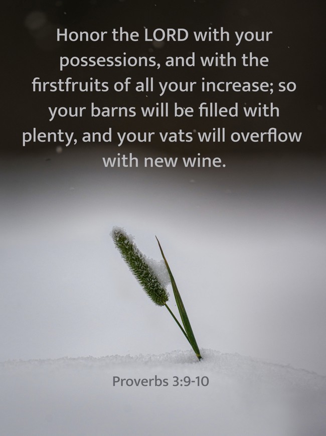 Honor the LORD with your possessions, and with the firstfruits of all your increase; so your barns will be filled with plenty, and your vats will overflow with new wine. - Proverbs 3:9-10