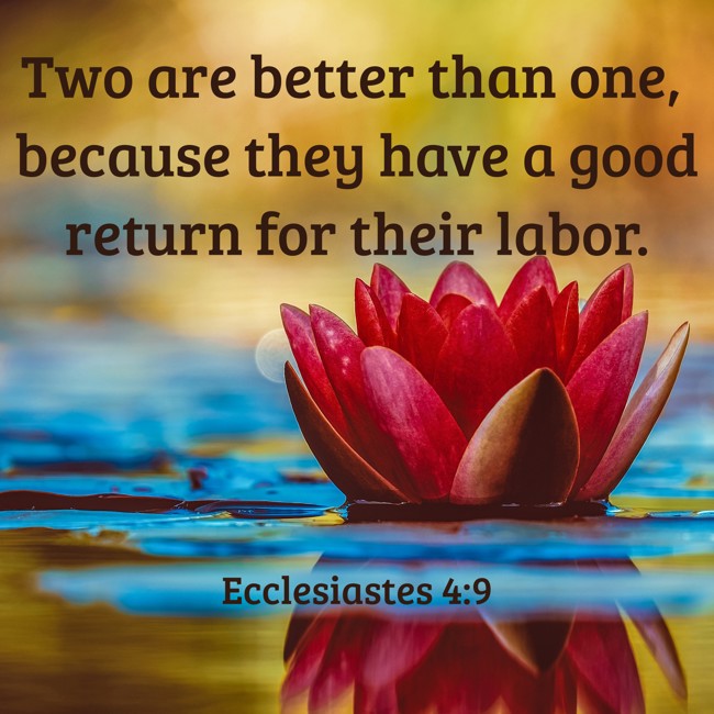 Two are better than one, because they have a good return for their labor. - Ecclesiastes 4:9