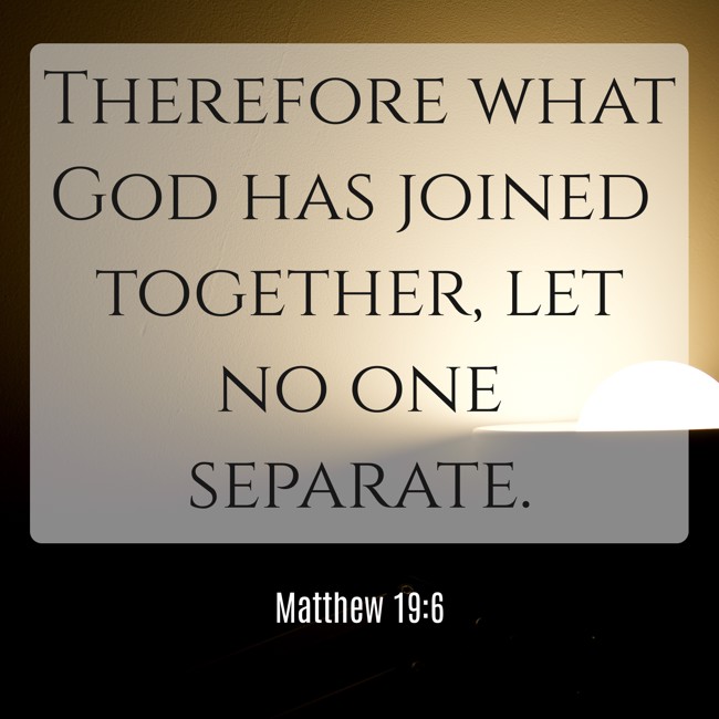 Therefore what God has joined together, let no one separate. - Matthew 19:6