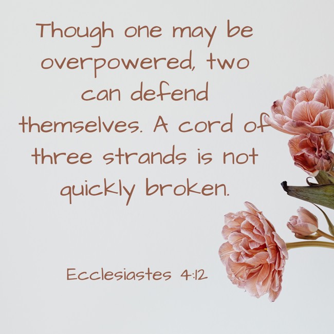 Though one may be overpowered, two can defend themselves. A cord of three strands is not quickly broken. - Ecclesiastes 4:12