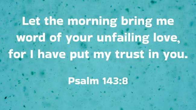 Let the morning bring me word of your unfailing love, for I have put my trust in you. - Psalm 143:8