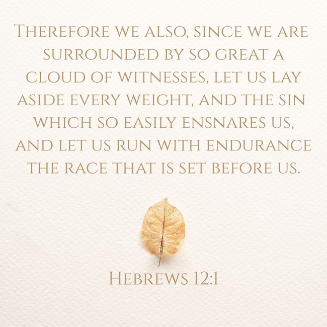 Therefore we also, since we are surrounded by so great a cloud of witnesses, let us lay aside every weight, and the sin which so easily ensnares us, and let us run with endurance the race that is set before us. - Hebrews 12:1
