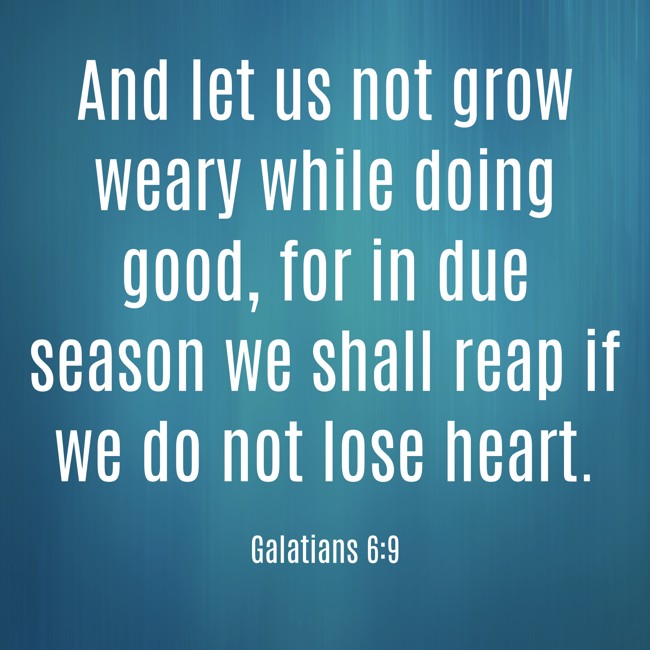 And let us not grow weary while doing good, for in due season we shall reap if we do not lose heart. - Galatians 6:9