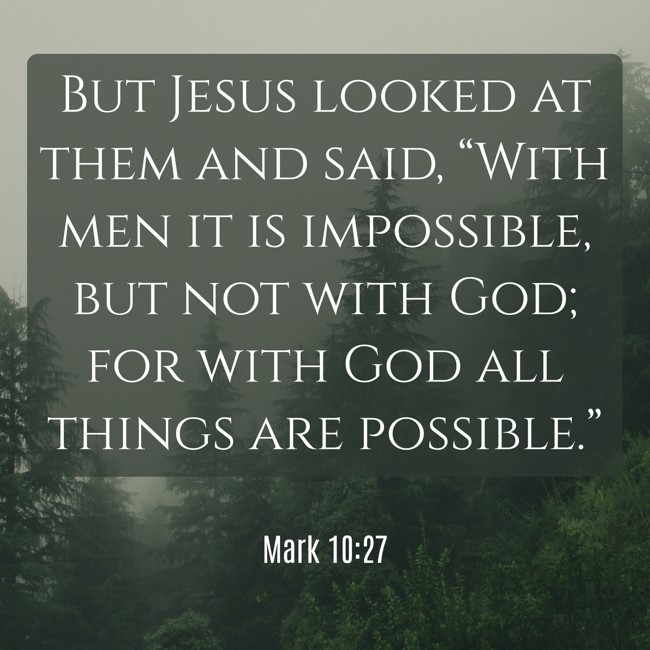 But Jesus looked at them and said, “With men it is impossible, but not with God; for with God all things are possible.” - Mark 10:27