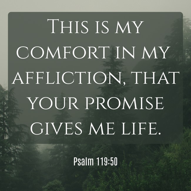 This is my comfort in my affliction, that your promise gives me life. - Psalm 119:50