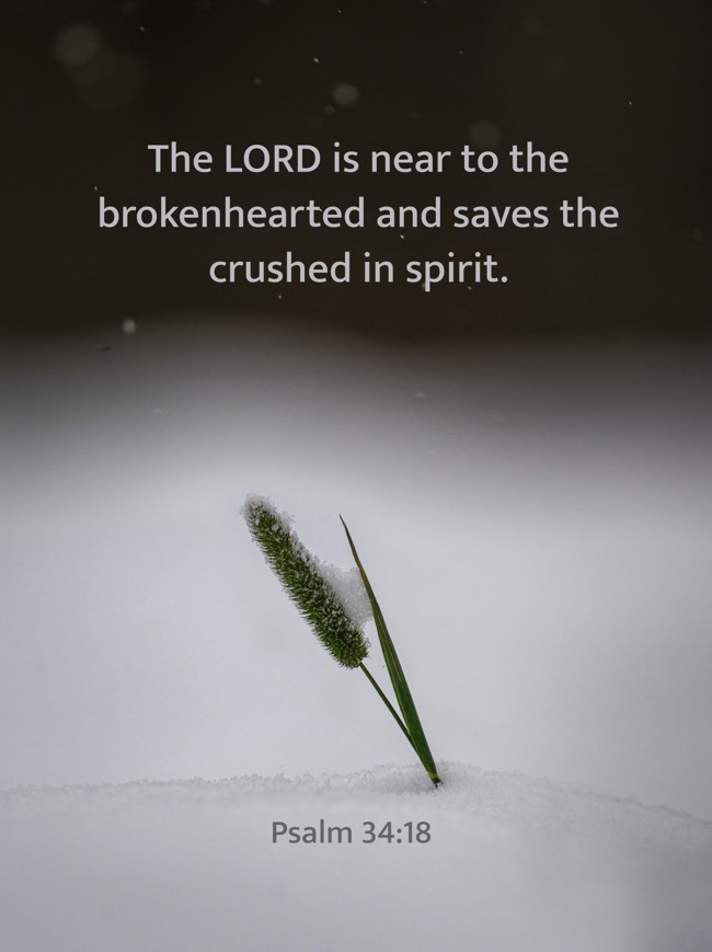 The LORD is near to the brokenhearted and saves the crushed in spirit. - Psalm 34:18