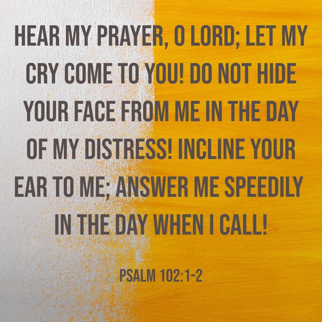 Hear my prayer, O LORD; let my cry come to you! Do not hide your face from me in the day of my distress! Incline your ear to me; answer me speedily in the day when I call! - Psalm 102:1-2