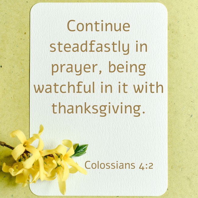 Continue steadfastly in prayer, being watchful in it with thanksgiving. - Colossians 4:2