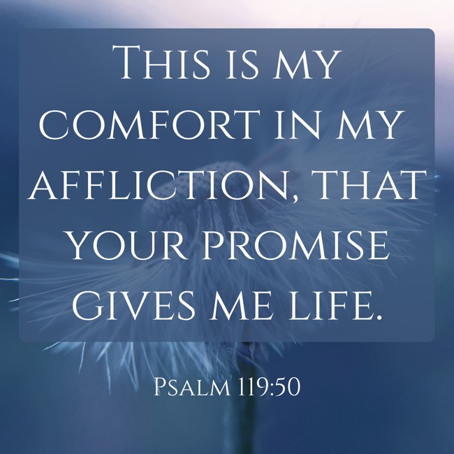 This is my comfort in my affliction, that your promise gives me life. - Psalm 119:50