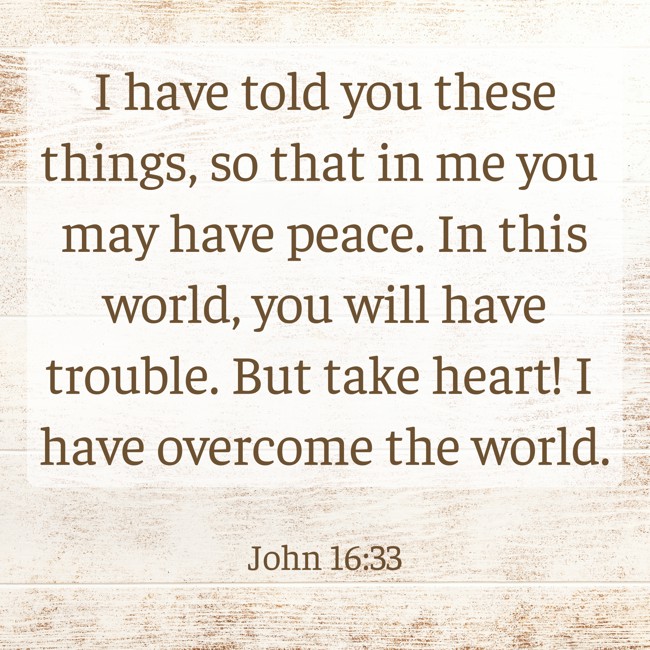I have told you these things, so that in me you may have peace. In this world, you will have trouble. But take heart! I have overcome the world. - John 16:33