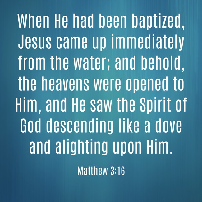 When He had been baptized, Jesus came up immediately from the water; and behold, the heavens were opened to Him, and He saw the Spirit of God descending like a dove and alighting upon Him. - Matthew 3:16