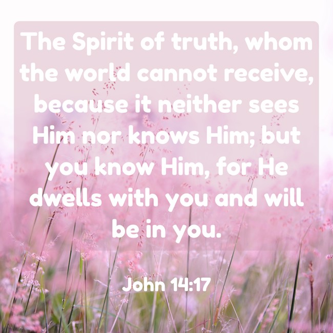 The Spirit of truth, whom the world cannot receive, because it neither sees Him nor knows Him; but you know Him, for He dwells with you and will be in you. - John 14:17