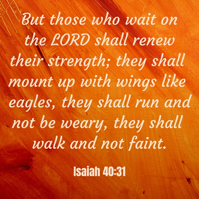 But those who wait on the LORD shall renew their strength; they shall mount up with wings like eagles, they shall run and not be weary, they shall walk and not faint. - Isaiah 40:31