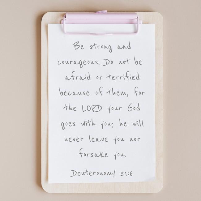 Be strong and courageous. Do not be afraid or terrified because of them, for the LORD your God goes with you; he will never leave you nor forsake you. - Deuteronomy 31:6