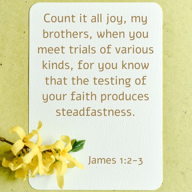 Count it all joy, my brothers, when you meet trials of various kinds, for you know that the testing of your faith produces steadfastness. - James 1:2-3