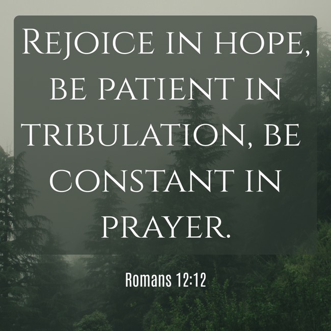 Rejoice in hope, be patient in tribulation, be constant in prayer. - Romans 12:12