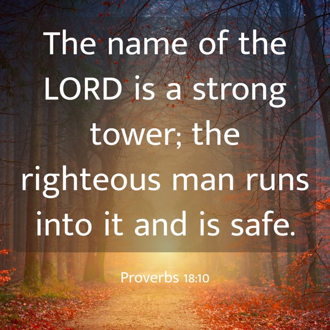 The name of the LORD is a strong tower; the righteous man runs into it and is safe. - Proverbs 18:10
