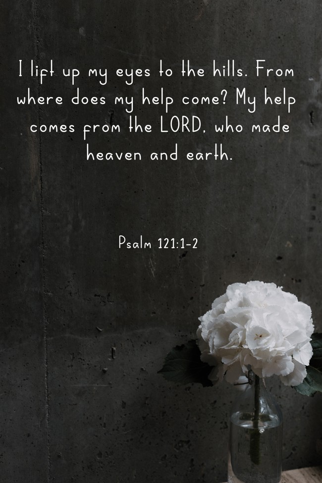 I lift up my eyes to the hills. From where does my help come? My help comes from the LORD, who made heaven and earth. - Psalm 121:1-2
