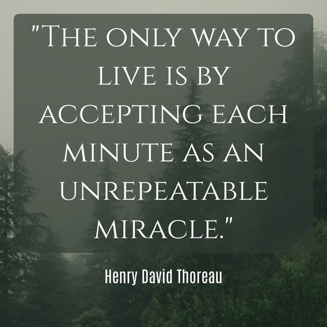 The only way to live is by accepting each minute as an unrepeatable miracle. - Henry David Thoreau