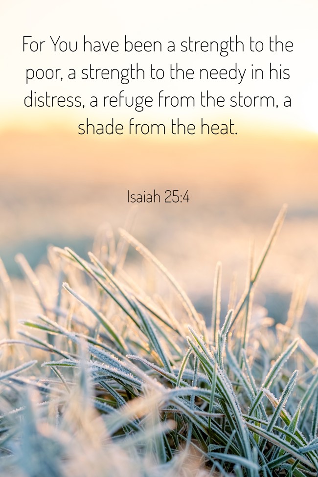 For You have been a strength to the poor, a strength to the needy in his distress, a refuge from the storm, a shade from the heat. - Isaiah 25:4