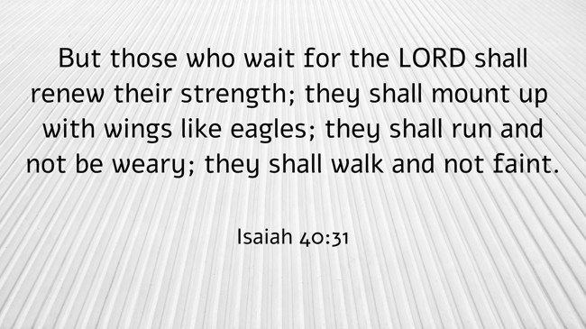 But those who wait for the LORD shall renew their strength; they shall mount up with wings like eagles; they shall run and not be weary; they shall walk and not faint. - Isaiah 40:31