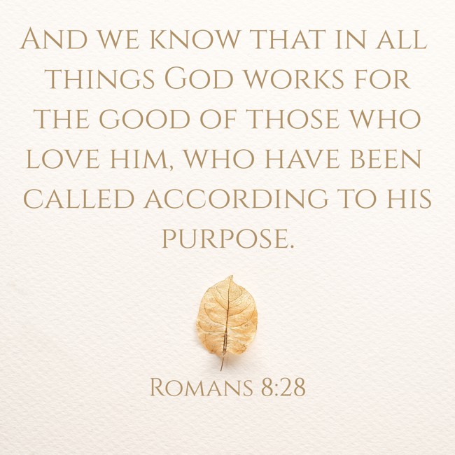 And we know that in all things God works for the good of those who love him, who have been called according to his purpose. - Romans 8:28