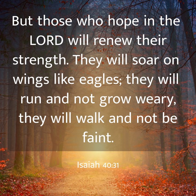 But those who hope in the LORD will renew their strength. They will soar on wings like eagles; they will run and not grow weary, they will walk and not be faint. - Isaiah 40:31