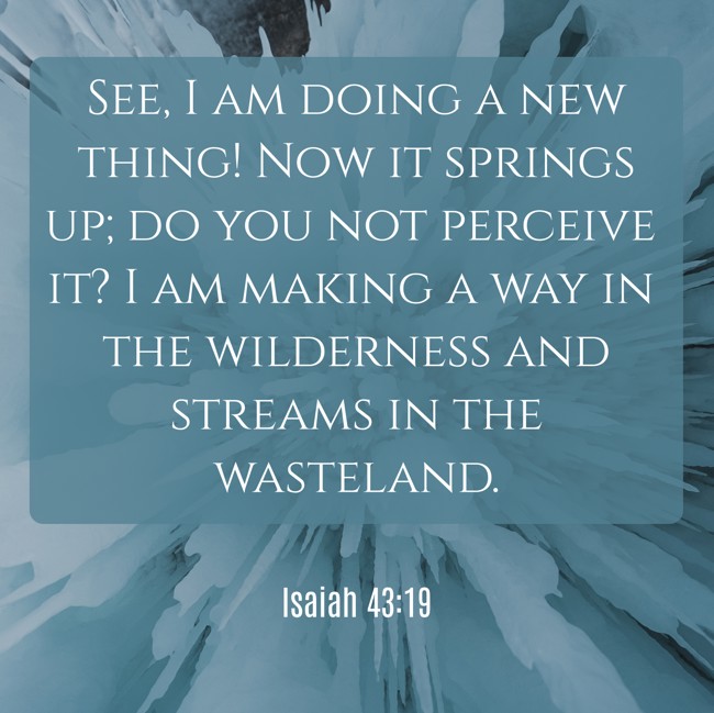 See, I am doing a new thing! Now it springs up; do you not perceive it? I am making a way in the wilderness and streams in the wasteland. - Isaiah 43:19