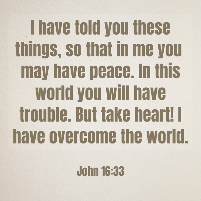I have told you these things, so that in me you may have peace. In this world you will have trouble. But take heart! I have overcome the world. - John 16:33