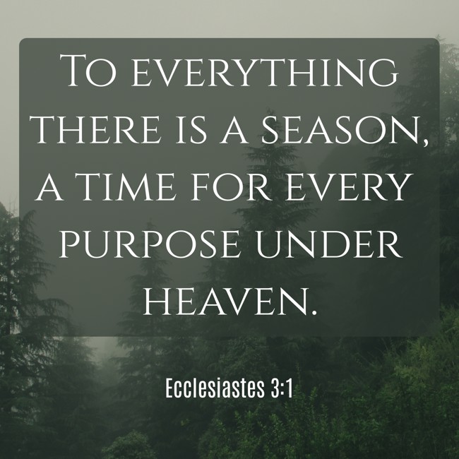 To everything there is a season, a time for every purpose under heaven. - Ecclesiastes 3:1