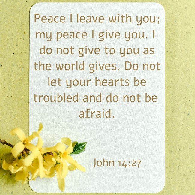 Peace I leave with you; my peace I give you. I do not give to you as the world gives. Do not let your hearts be troubled and do not be afraid. - John 14:27