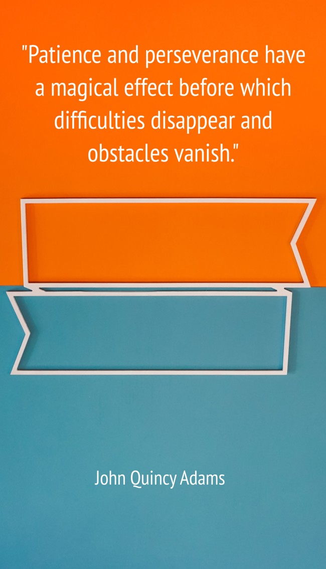 Patience and perseverance have a magical effect before which difficulties disappear and obstacles vanish. - John Quincy Adams