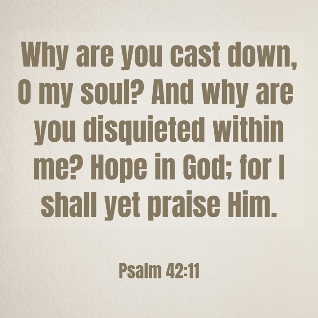 Why are you cast down, O my soul? And why are you disquieted within me? Hope in God; for I shall yet praise Him. - Psalm 42:11