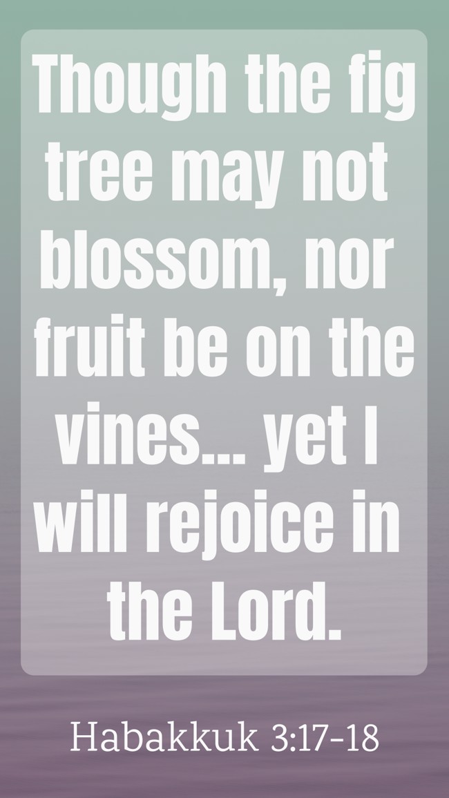 Though the fig tree may not blossom, nor fruit be on the vines... yet I will rejoice in the Lord. - Habakkuk 3:17-18