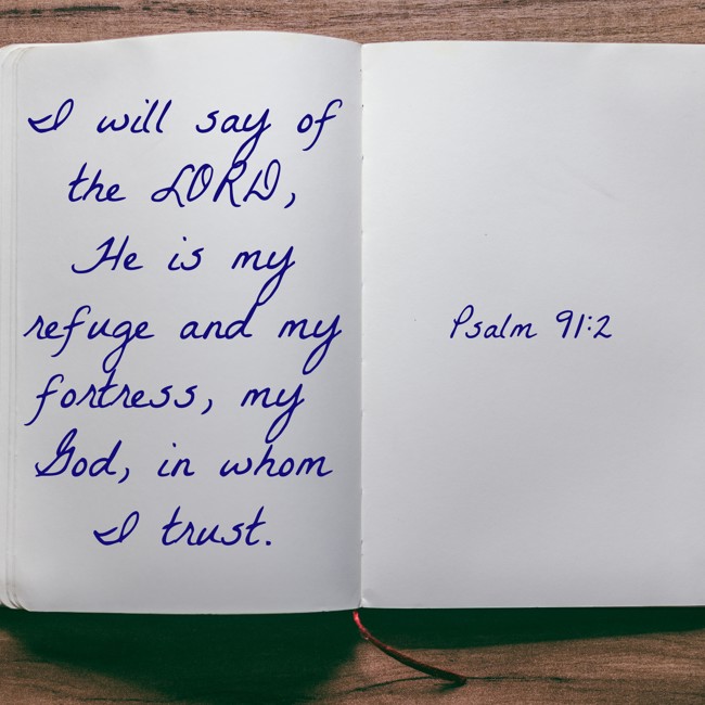 I will say of the LORD, He is my refuge and my fortress, my God, in whom I trust. - Psalm 91:2