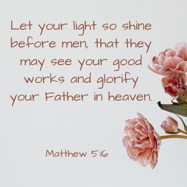 Let your light so shine before men, that they may see your good works and glorify your Father in heaven. - Matthew 5:16