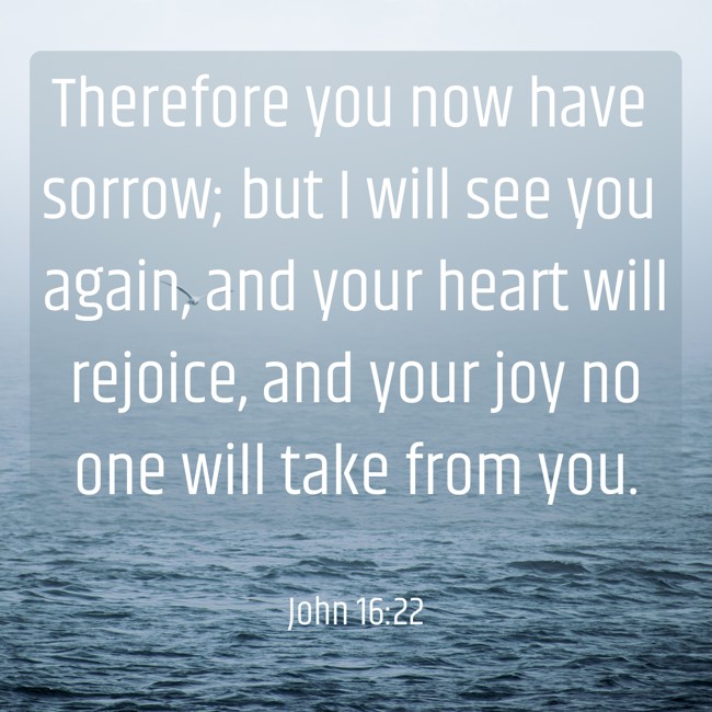 Therefore you now have sorrow; but I will see you again, and your heart will rejoice, and your joy no one will take from you. - John 16:22