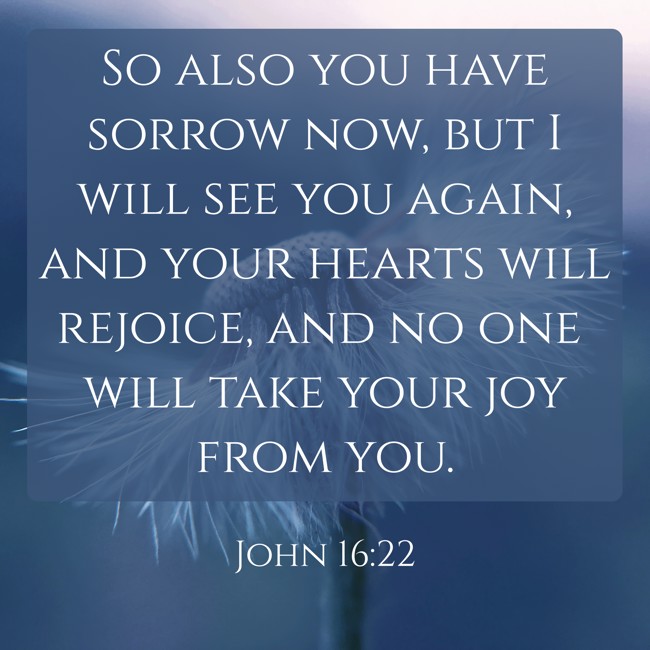 So also you have sorrow now, but I will see you again, and your hearts will rejoice, and no one will take your joy from you. - John 16:22