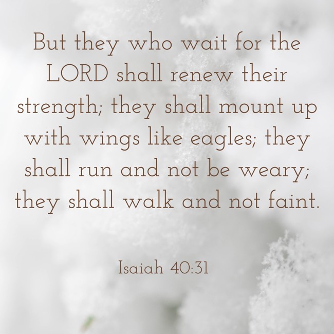 But they who wait for the LORD shall renew their strength; they shall mount up with wings like eagles; they shall run and not be weary; they shall walk and not faint. - Isaiah 40:31