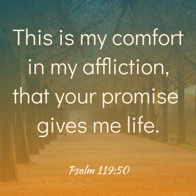 This is my comfort in my affliction, that your promise gives me life. - Psalm 119:50