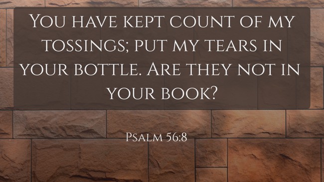 You have kept count of my tossings; put my tears in your bottle. Are they not in your book? - Psalm 56:8