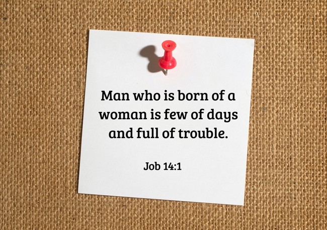 Man who is born of a woman is few of days and full of trouble. - Job 14:1