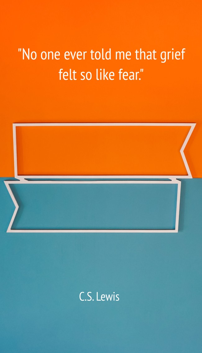 No one ever told me that grief felt so like fear. - C.S. Lewis