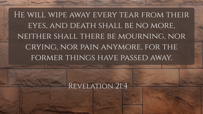 He will wipe away every tear from their eyes, and death shall be no more, neither shall there be mourning, nor crying, nor pain anymore, for the former things have passed away. - Revelation 21:4