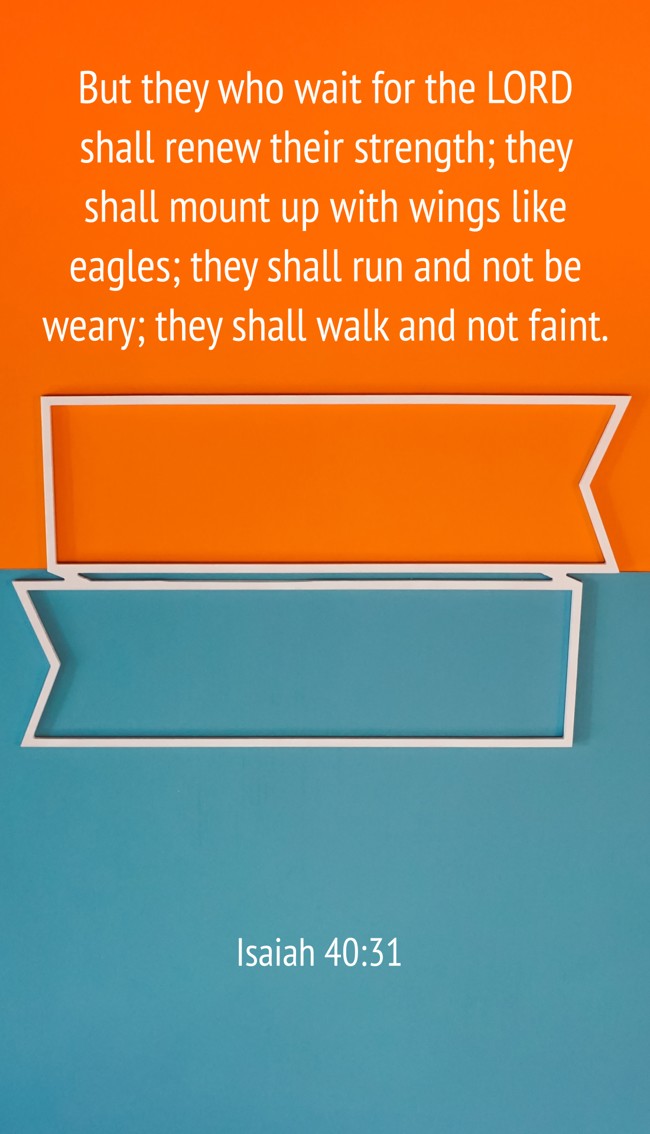But they who wait for the LORD shall renew their strength; they shall mount up with wings like eagles; they shall run and not be weary; they shall walk and not faint. - Isaiah 40:31