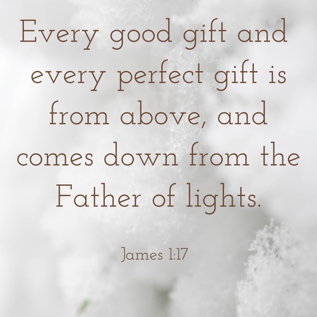 Every good gift and every perfect gift is from above, and comes down from the Father of lights. - James 1:17
