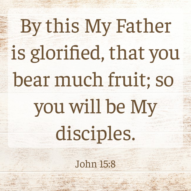 By this My Father is glorified, that you bear much fruit; so you will be My disciples. - John 15:8