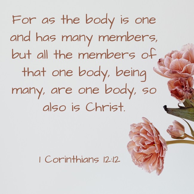 For as the body is one and has many members, but all the members of that one body, being many, are one body, so also is Christ. - 1 Corinthians 12:12